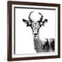 Low Poly Safari Art - The Antelope - White Edition II-Philippe Hugonnard-Framed Art Print