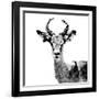 Low Poly Safari Art - The Antelope - White Edition II-Philippe Hugonnard-Framed Art Print