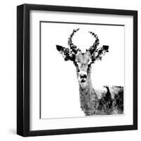 Low Poly Safari Art - The Antelope - White Edition II-Philippe Hugonnard-Framed Art Print