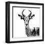 Low Poly Safari Art - The Antelope - White Edition II-Philippe Hugonnard-Framed Art Print