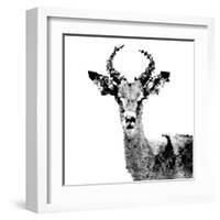 Low Poly Safari Art - The Antelope - White Edition II-Philippe Hugonnard-Framed Art Print