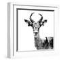 Low Poly Safari Art - The Antelope - White Edition II-Philippe Hugonnard-Framed Art Print