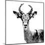 Low Poly Safari Art - The Antelope - White Edition II-Philippe Hugonnard-Mounted Art Print
