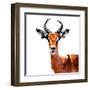 Low Poly Safari Art - The Antelope - White Edition-Philippe Hugonnard-Framed Art Print