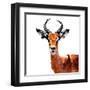 Low Poly Safari Art - The Antelope - White Edition-Philippe Hugonnard-Framed Art Print