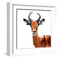 Low Poly Safari Art - The Antelope - White Edition-Philippe Hugonnard-Framed Art Print