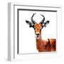 Low Poly Safari Art - The Antelope - White Edition-Philippe Hugonnard-Framed Art Print