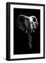 Low Poly Safari Art - The Elephant - Black Edition-Philippe Hugonnard-Framed Art Print