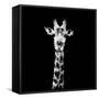 Low Poly Safari Art - The Giraffe - Black Edition II-Philippe Hugonnard-Framed Stretched Canvas