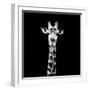 Low Poly Safari Art - The Giraffe - Black Edition II-Philippe Hugonnard-Framed Premium Giclee Print