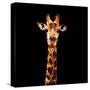 Low Poly Safari Art - The Giraffe - Black Edition-Philippe Hugonnard-Stretched Canvas