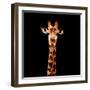 Low Poly Safari Art - The Giraffe - Black Edition-Philippe Hugonnard-Framed Premium Giclee Print