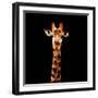 Low Poly Safari Art - The Giraffe - Black Edition-Philippe Hugonnard-Framed Premium Giclee Print