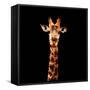 Low Poly Safari Art - The Giraffe - Black Edition-Philippe Hugonnard-Framed Stretched Canvas