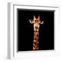 Low Poly Safari Art - The Giraffe - Black Edition-Philippe Hugonnard-Framed Art Print