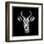 Low Poly Safari Art - The Look of Antelope - Black Edition II-Philippe Hugonnard-Framed Art Print