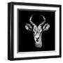 Low Poly Safari Art - The Look of Antelope - Black Edition II-Philippe Hugonnard-Framed Art Print