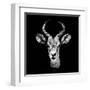 Low Poly Safari Art - The Look of Antelope - Black Edition II-Philippe Hugonnard-Framed Art Print