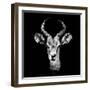 Low Poly Safari Art - The Look of Antelope - Black Edition II-Philippe Hugonnard-Framed Premium Giclee Print