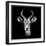 Low Poly Safari Art - The Look of Antelope - Black Edition II-Philippe Hugonnard-Framed Premium Giclee Print