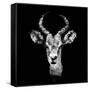 Low Poly Safari Art - The Look of Antelope - Black Edition II-Philippe Hugonnard-Framed Stretched Canvas