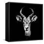 Low Poly Safari Art - The Look of Antelope - Black Edition II-Philippe Hugonnard-Framed Stretched Canvas