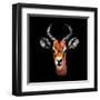 Low Poly Safari Art - The Look of Antelope - Black Edition-Philippe Hugonnard-Framed Art Print