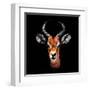 Low Poly Safari Art - The Look of Antelope - Black Edition-Philippe Hugonnard-Framed Art Print