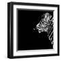 Low Poly Safari Art - The Zebra - Black Edition-Philippe Hugonnard-Framed Art Print