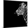 Low Poly Safari Art - The Zebra - Black Edition-Philippe Hugonnard-Mounted Art Print