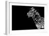 Low Poly Safari Art - Zebra - Black Edition-Philippe Hugonnard-Framed Premium Giclee Print