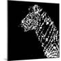Low Poly Safari Art - Zebra Profile - Black Edition-Philippe Hugonnard-Mounted Premium Giclee Print