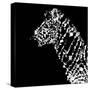 Low Poly Safari Art - Zebra Profile - Black Edition-Philippe Hugonnard-Stretched Canvas