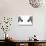 Low Poly Safari Art - Zebras - White Edition-Philippe Hugonnard-Stretched Canvas displayed on a wall