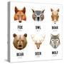 Low Polygon Animal Logos. Triangular Geometric Set. Bear, Deer, Fox, Boar and Wolf. Vector Illustra-MSSA-Stretched Canvas