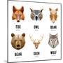 Low Polygon Animal Logos. Triangular Geometric Set. Bear, Deer, Fox, Boar and Wolf. Vector Illustra-MSSA-Mounted Premium Giclee Print