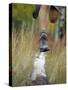 Low Section View of a Person Jumping over a Log of Wood-null-Stretched Canvas