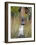 Low Section View of a Person Jumping over a Log of Wood-null-Framed Photographic Print