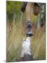 Low Section View of a Person Jumping over a Log of Wood-null-Mounted Photographic Print