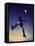 Low Section View of a Soccer Player Jumping in Mid Air to Head a Soccer Ball-null-Framed Stretched Canvas