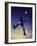 Low Section View of a Soccer Player Jumping in Mid Air to Head a Soccer Ball-null-Framed Photographic Print