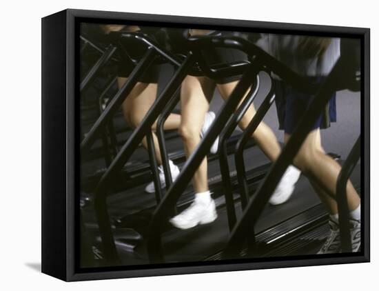 Low Section View of People Running on Treadmills in a Gym-null-Framed Stretched Canvas