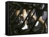 Low Section View of People Running on Treadmills in a Gym-null-Framed Stretched Canvas