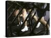 Low Section View of People Running on Treadmills in a Gym-null-Stretched Canvas