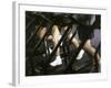 Low Section View of People Running on Treadmills in a Gym-null-Framed Photographic Print