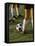 Low Section View of Soccer Players Feet and a Soccer Ball-null-Framed Stretched Canvas