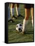 Low Section View of Soccer Players Feet and a Soccer Ball-null-Framed Stretched Canvas
