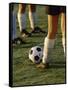 Low Section View of Soccer Players Feet and a Soccer Ball-null-Framed Stretched Canvas