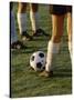 Low Section View of Soccer Players Feet and a Soccer Ball-null-Stretched Canvas