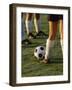 Low Section View of Soccer Players Feet and a Soccer Ball-null-Framed Photographic Print
